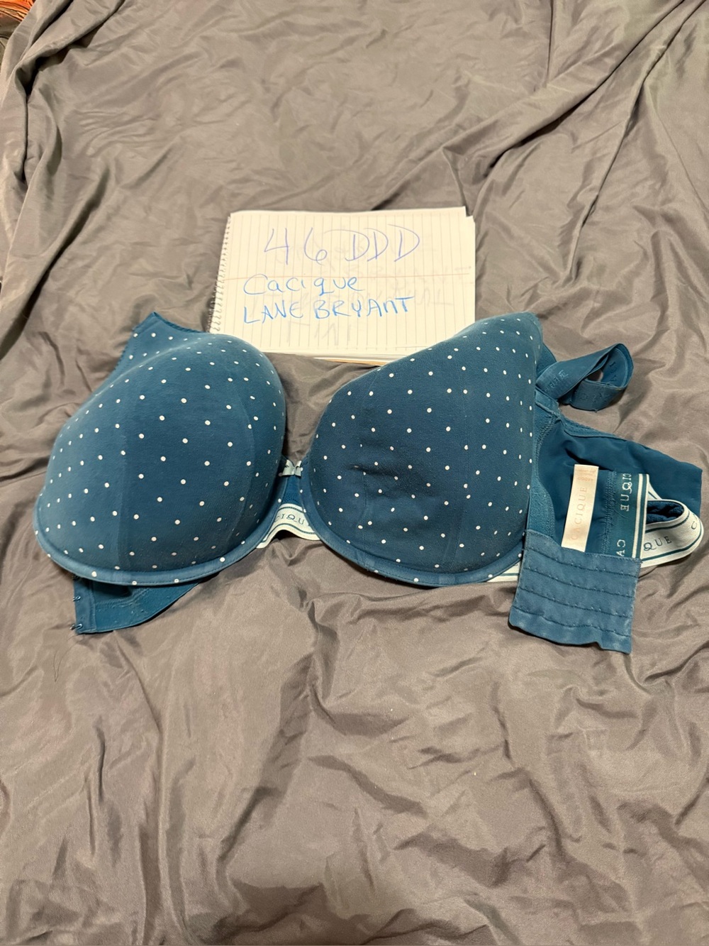 Cacique Teal Polka Dot T-Shirt Bra